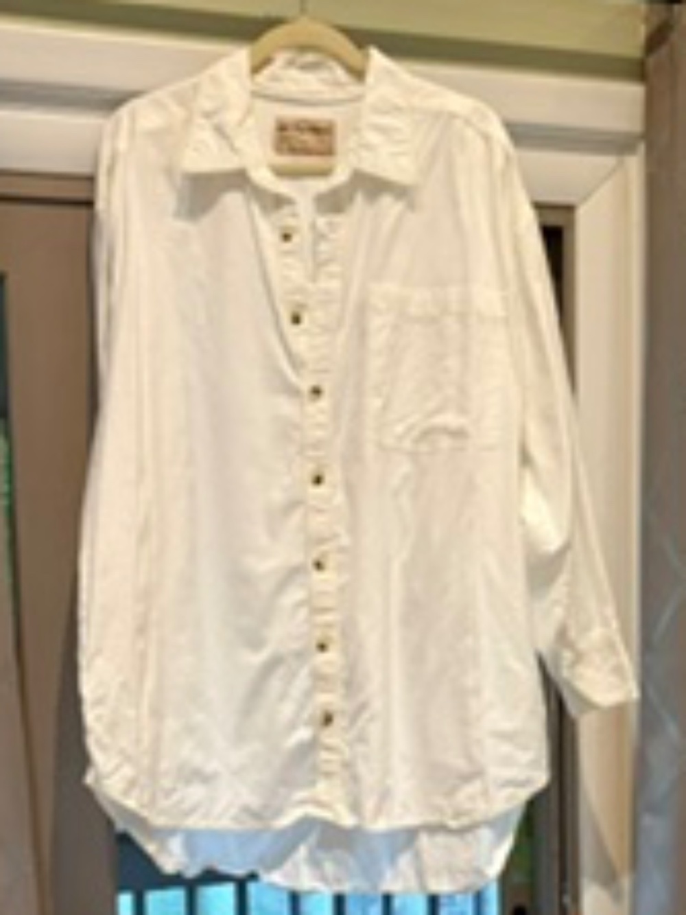 We The Free Button Down Shirt
